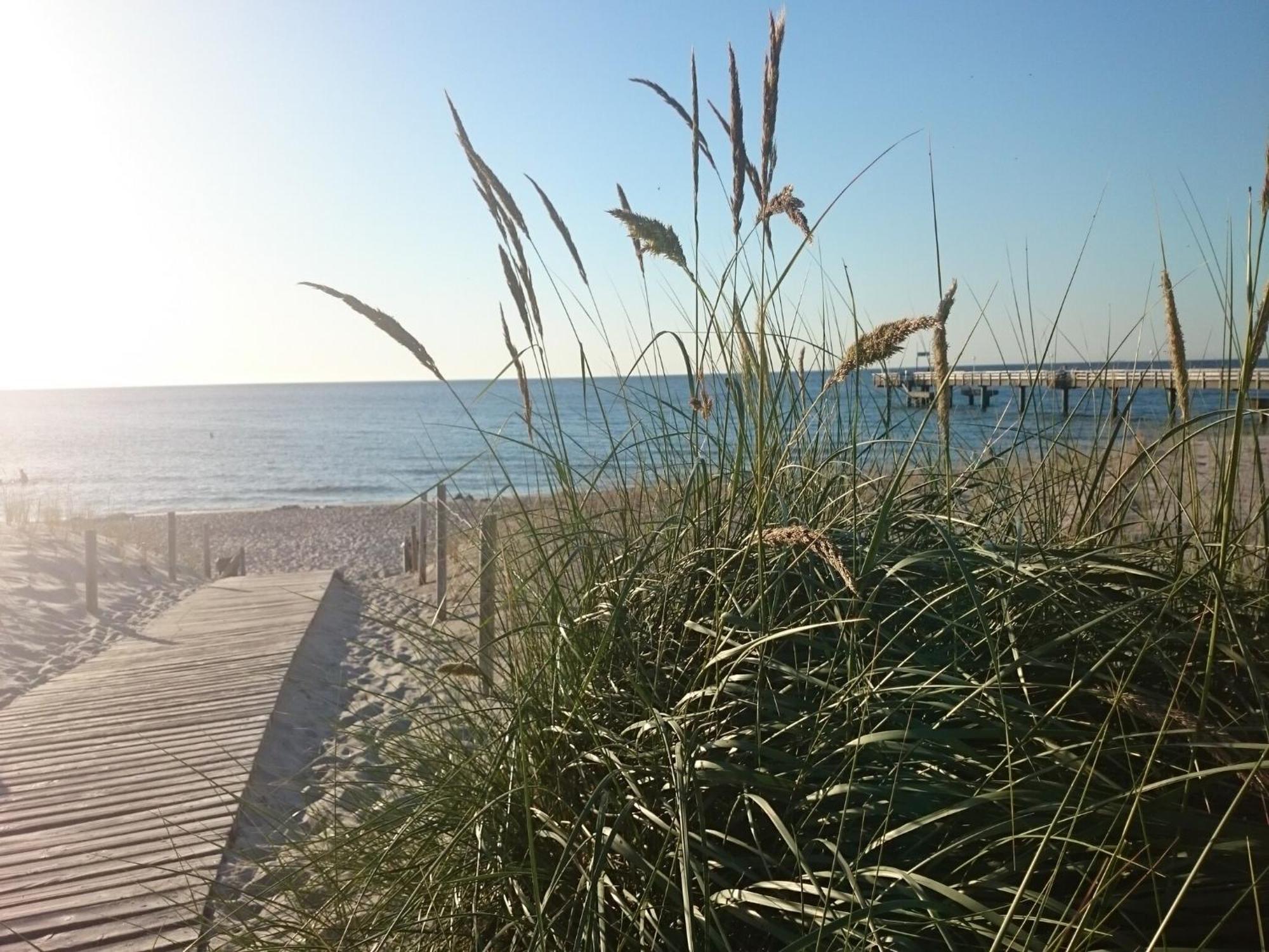 Cozy Apartment In Rerik With Sea Near Buitenkant foto